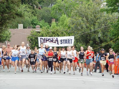 The Dipsea Steps