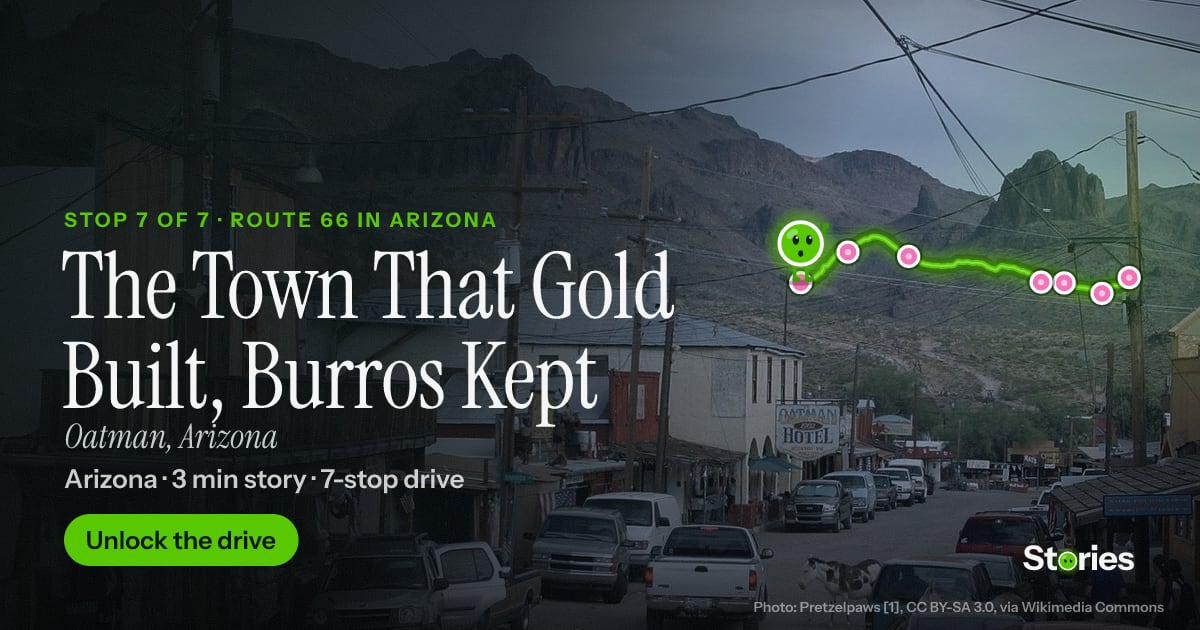 The Town That Gold Built, Burros Kept: a story about Oatman, stop 7 of Route 66 in Arizona